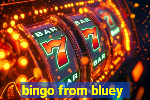 bingo from bluey