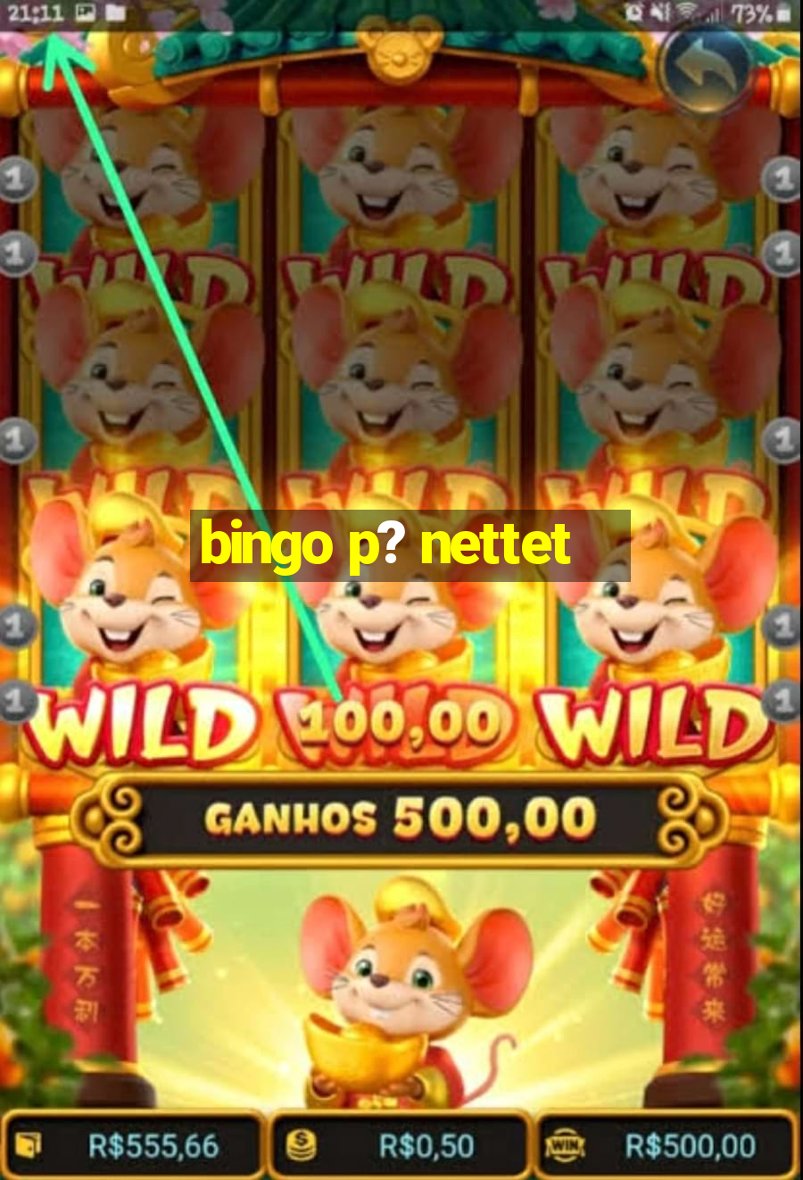 bingo p? nettet