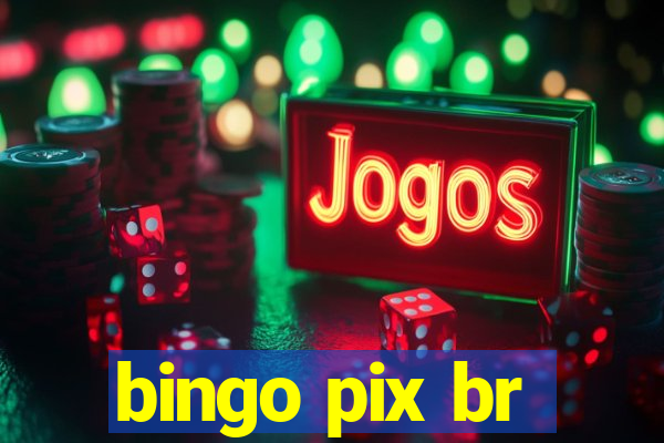 bingo pix br