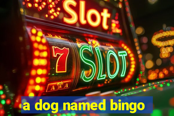 a dog named bingo