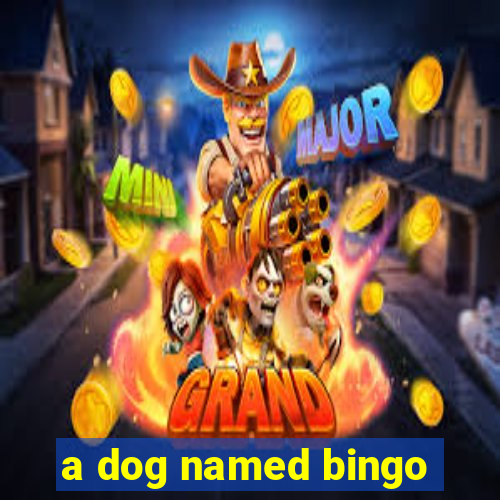 a dog named bingo