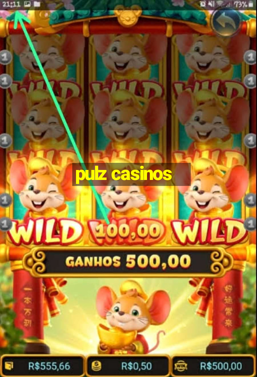 pulz casinos