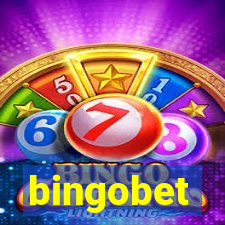 bingobet