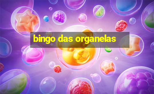 bingo das organelas