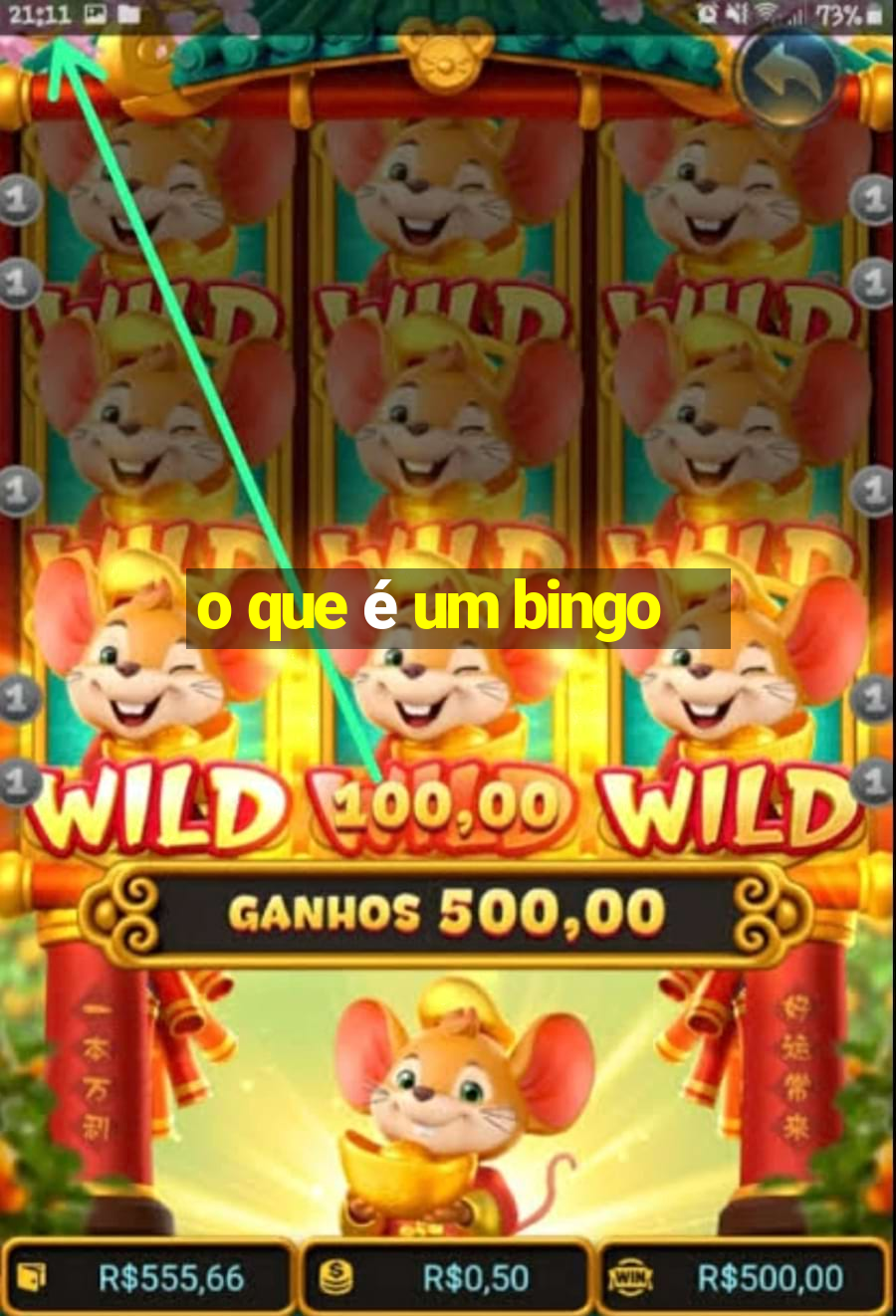 o que é um bingo