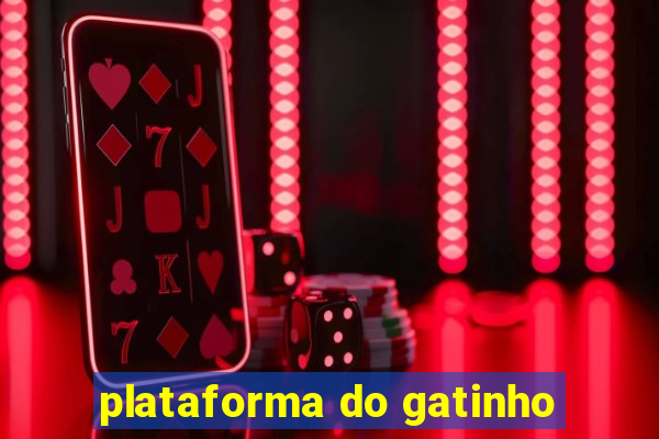 plataforma do gatinho