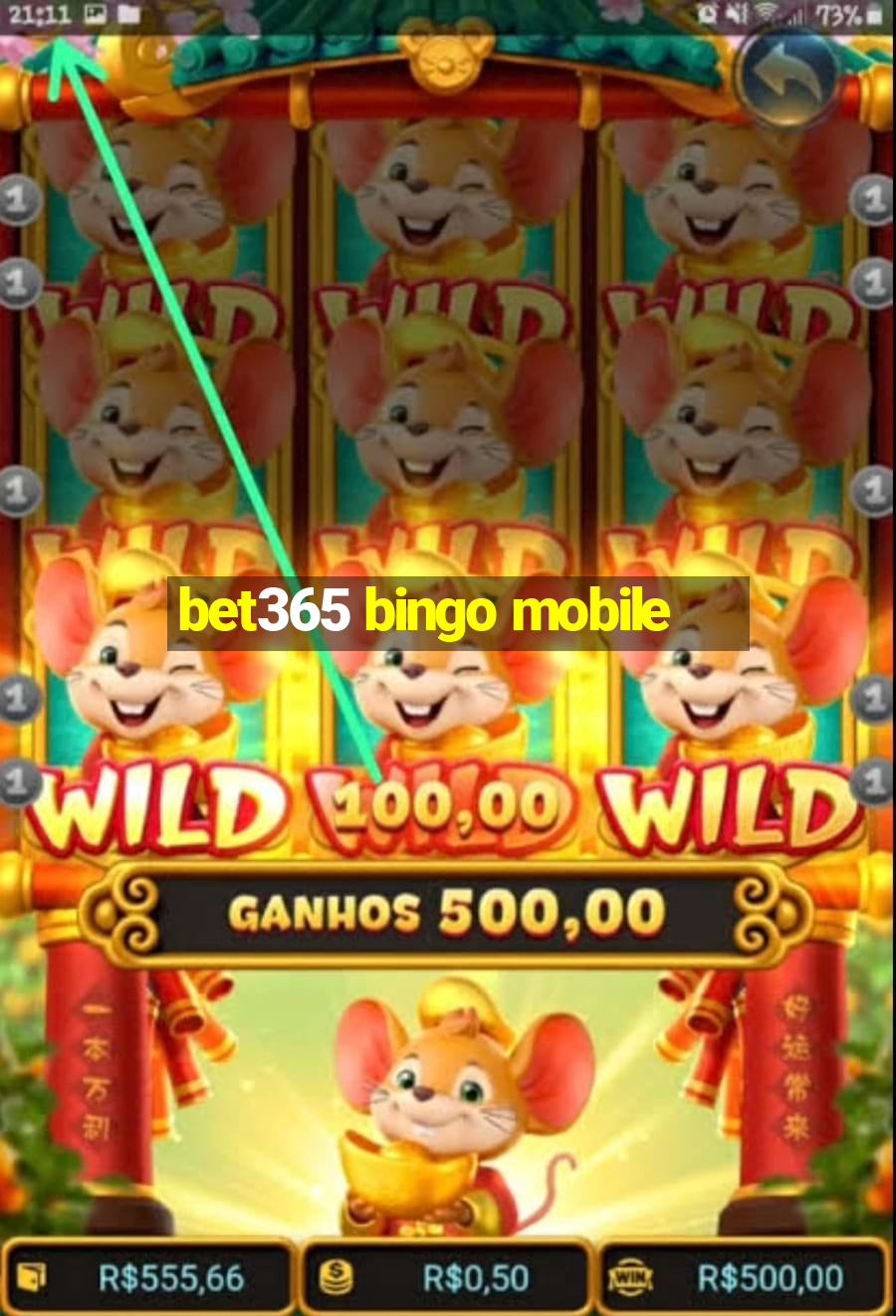 bet365 bingo mobile