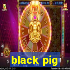 black pig