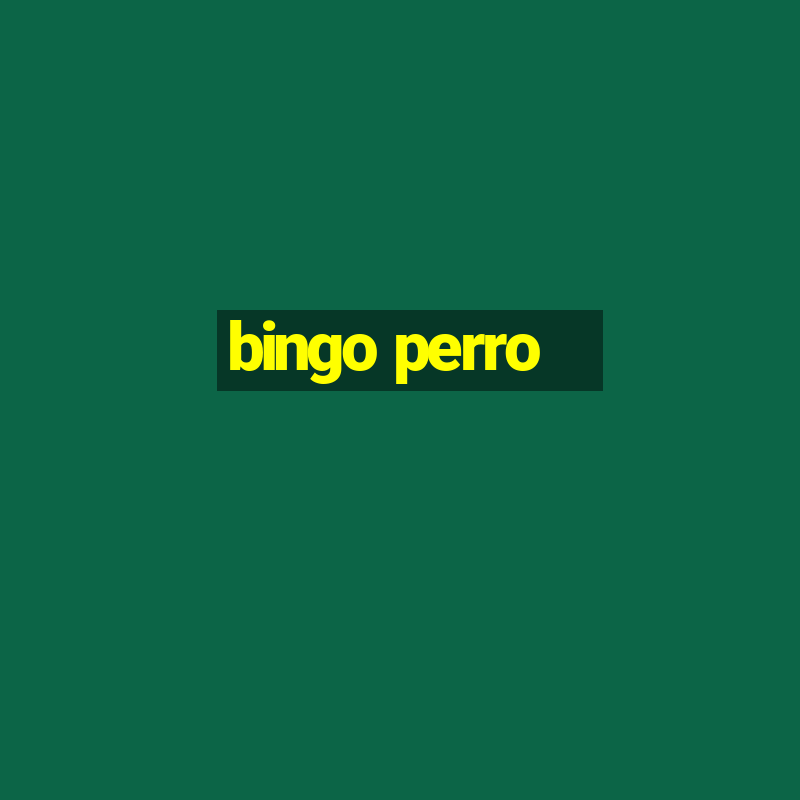 bingo perro