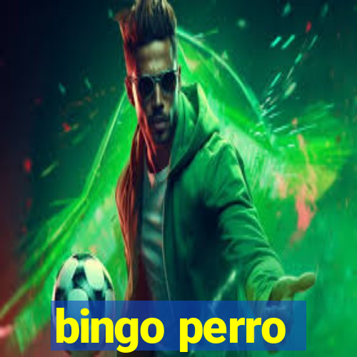 bingo perro