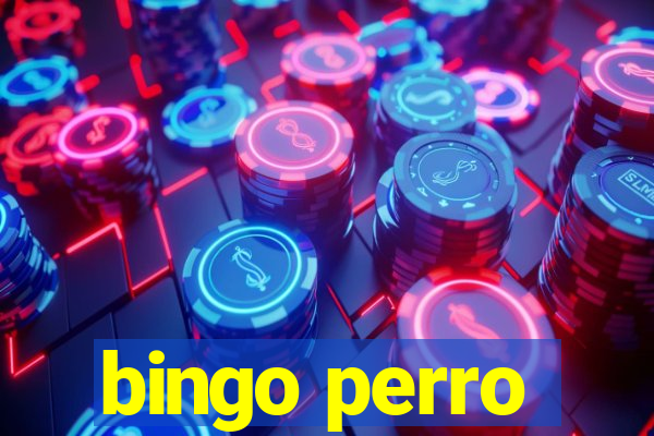 bingo perro