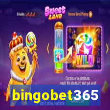 bingobet365