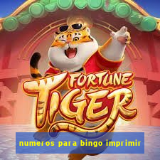 numeros para bingo imprimir