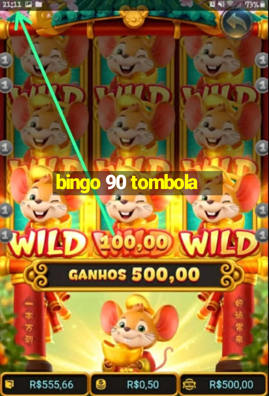 bingo 90 tombola