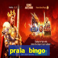 praia bingo download pc