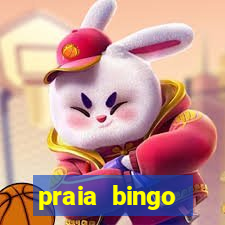 praia bingo download pc