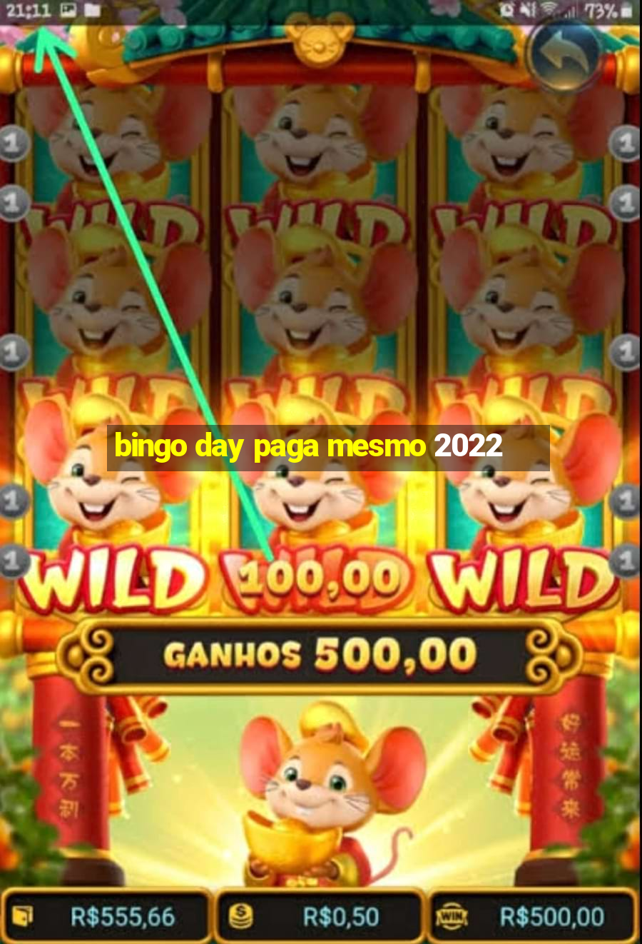 bingo day paga mesmo 2022