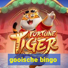 gooische bingo