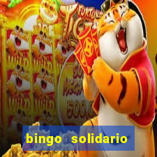 bingo solidario como organizar