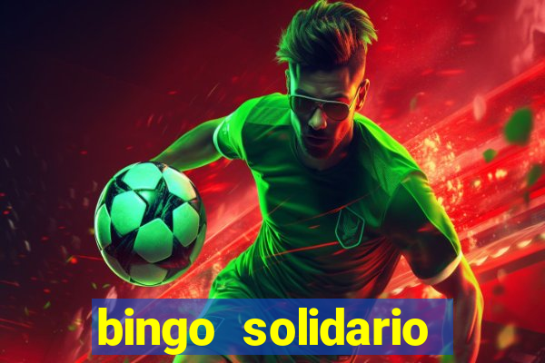 bingo solidario como organizar