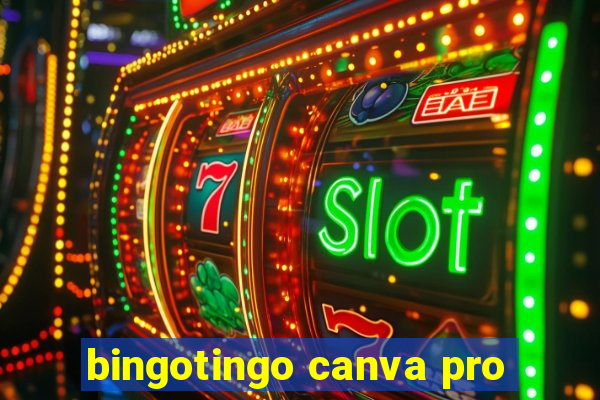 bingotingo canva pro