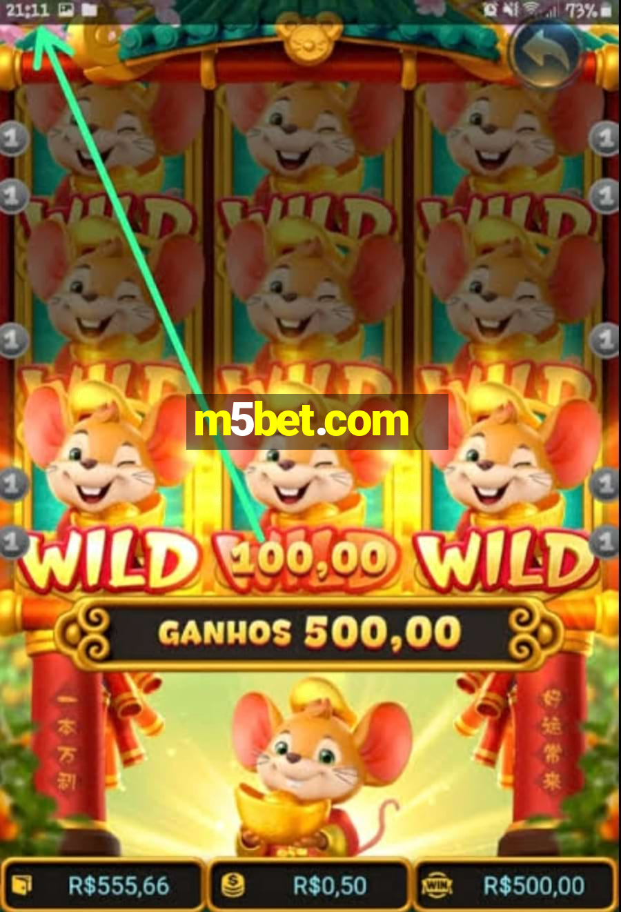 m5bet.com