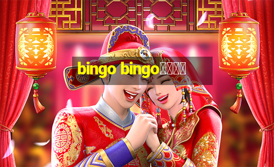 bingo bingo線上投注