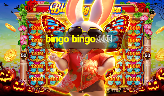 bingo bingo線上投注