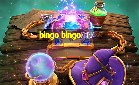 bingo bingo線上投注