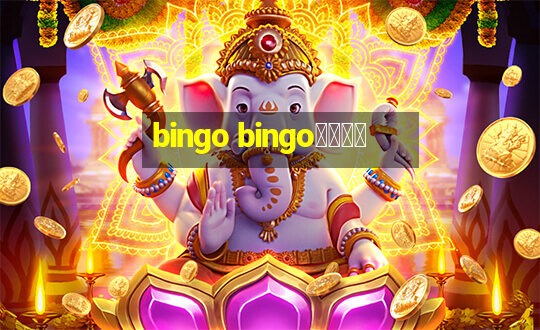 bingo bingo線上投注