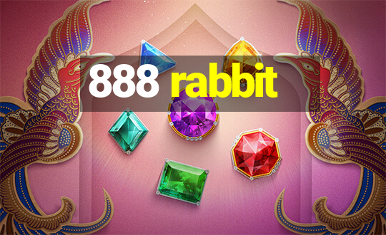 888 rabbit