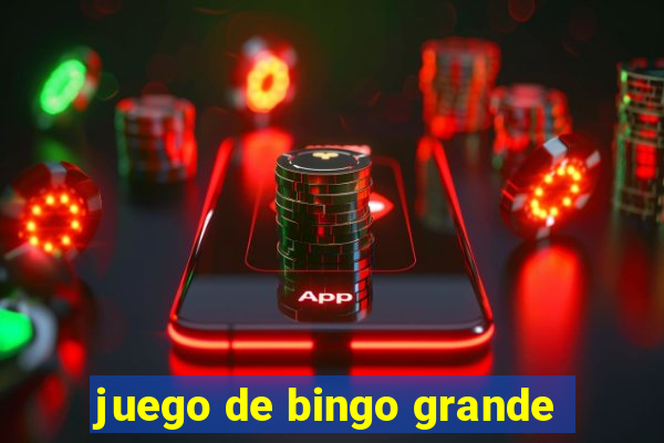 juego de bingo grande