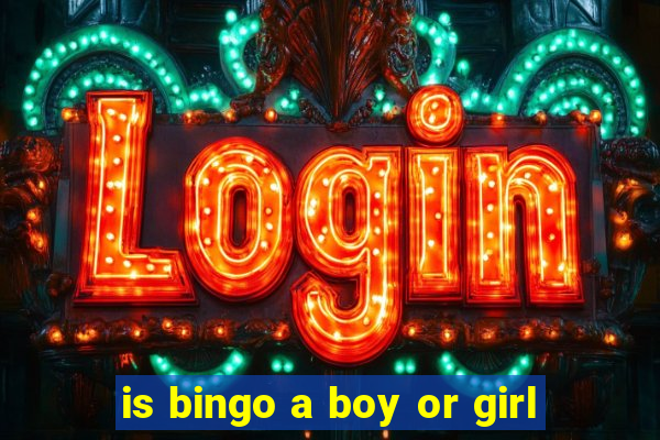 is bingo a boy or girl