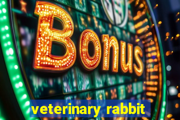 veterinary rabbit