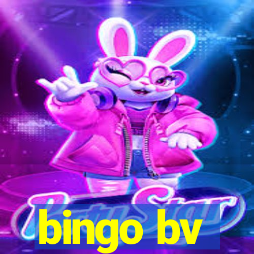 bingo bv