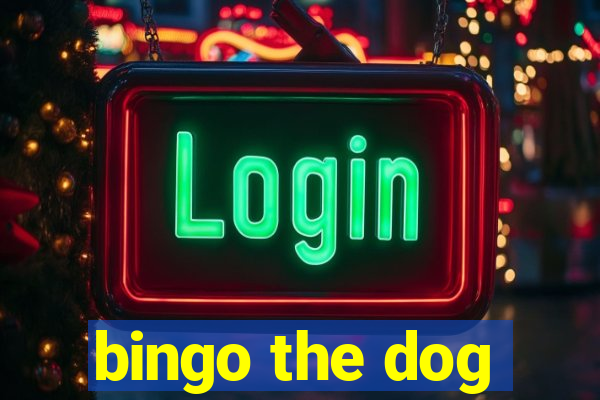 bingo the dog