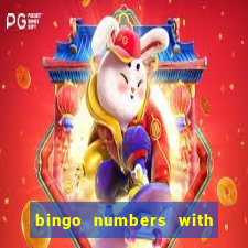 bingo numbers with highest probability