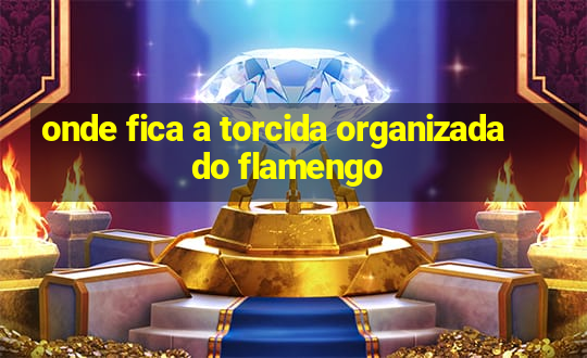 onde fica a torcida organizada do flamengo