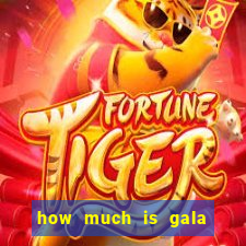 how much is gala bingo tonight