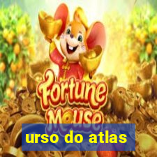 urso do atlas