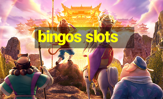 bingos slots