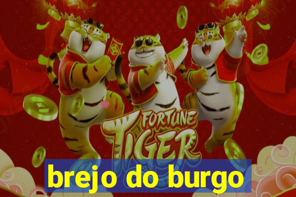 brejo do burgo