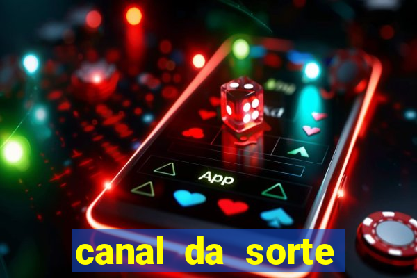 canal da sorte bingo de hoje