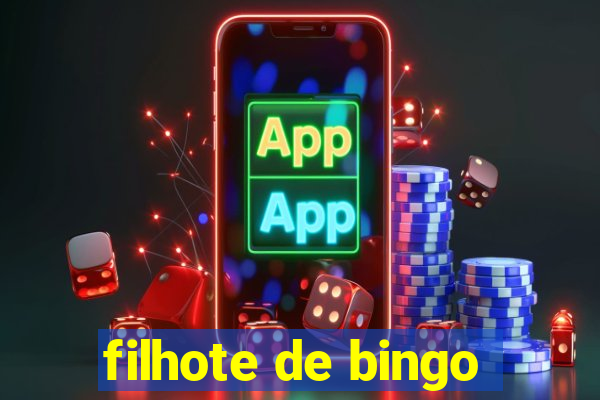 filhote de bingo