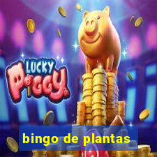 bingo de plantas