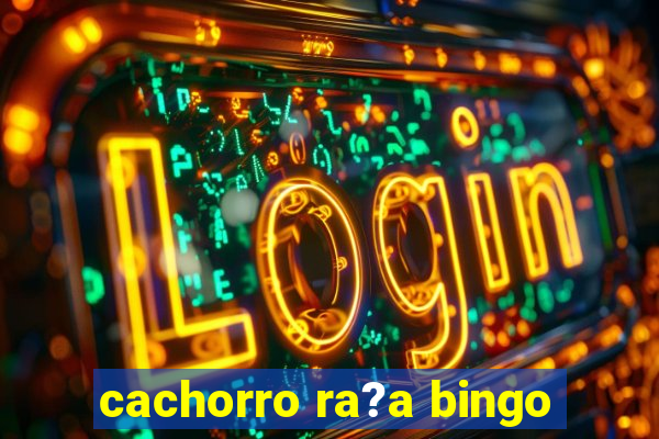 cachorro ra?a bingo