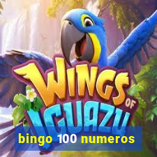 bingo 100 numeros