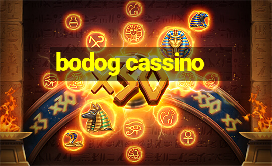 bodog cassino