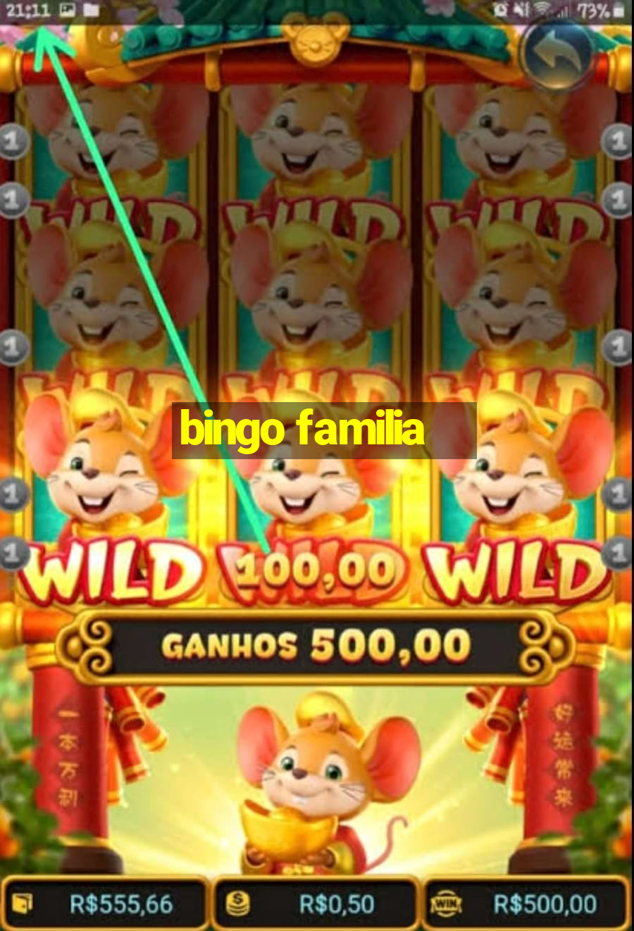 bingo familia