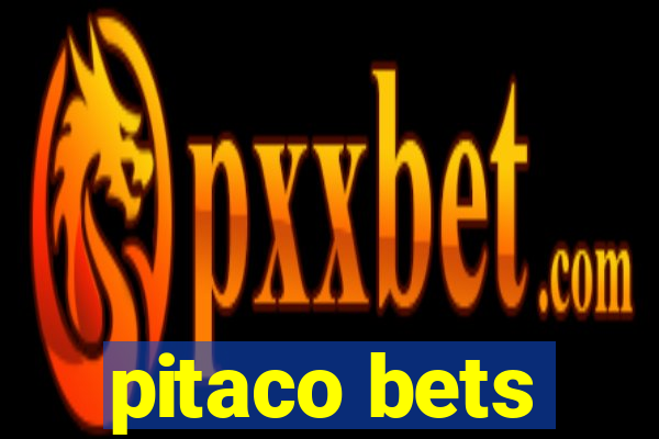 pitaco bets